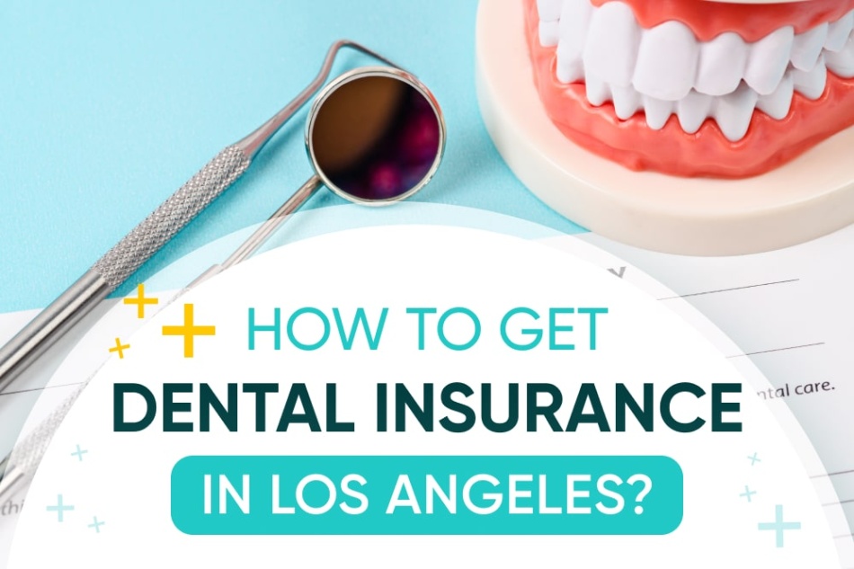 dental insurance buy Niche Utama Home How To Get Dental Insurance in Los Angeles - NoHo Family Dental